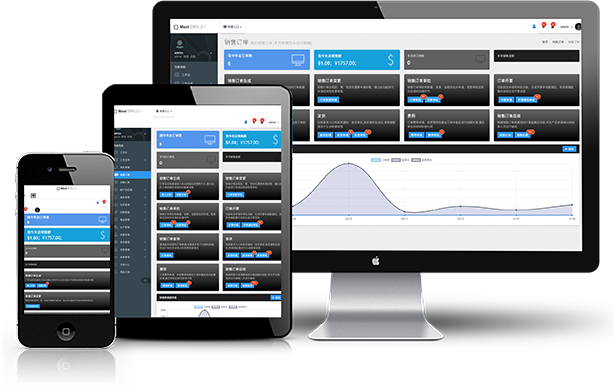 erp 墨江互联 进销存 化工erp